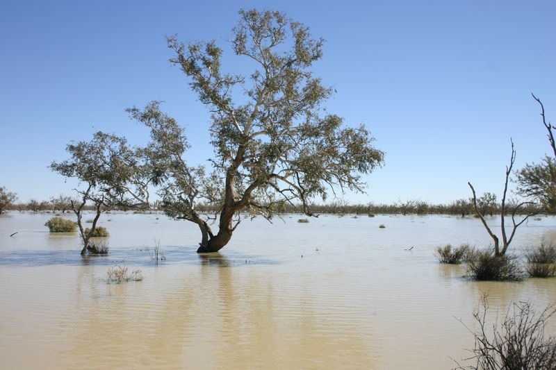 flooded copper crekk