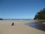 new harbour south west circuit tasmania