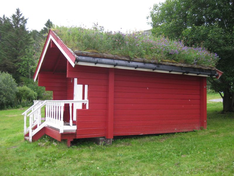We have passed many buildings with sod roofs. This is a cabin at the camping ground we are staying at at Vennesuns