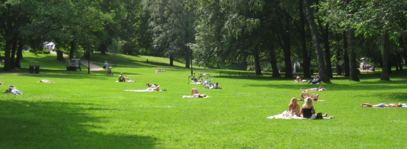 Norwegians in Oslo in the Royal Palace park, getting their gear off and getting some sun. Its summer, its 22C, summer might be over tomorrow!