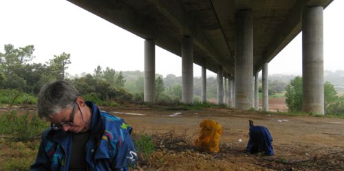 special-dry-spot-for-pilgrims-sm